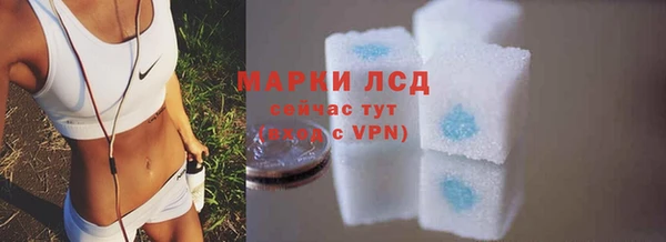 стафф Заволжск