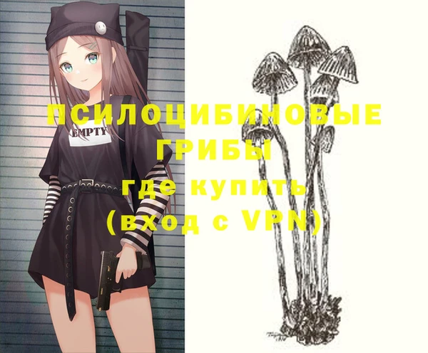 спиды Заводоуковск