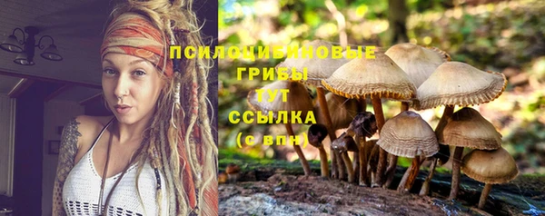 спиды Заводоуковск