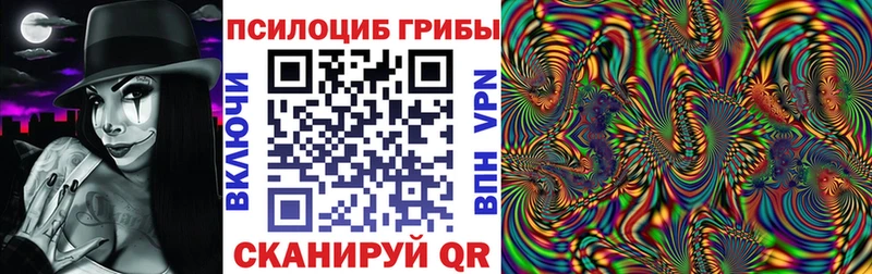 Купить где  Заречный  Галлюциногенные грибы Psilocybine cubensis 